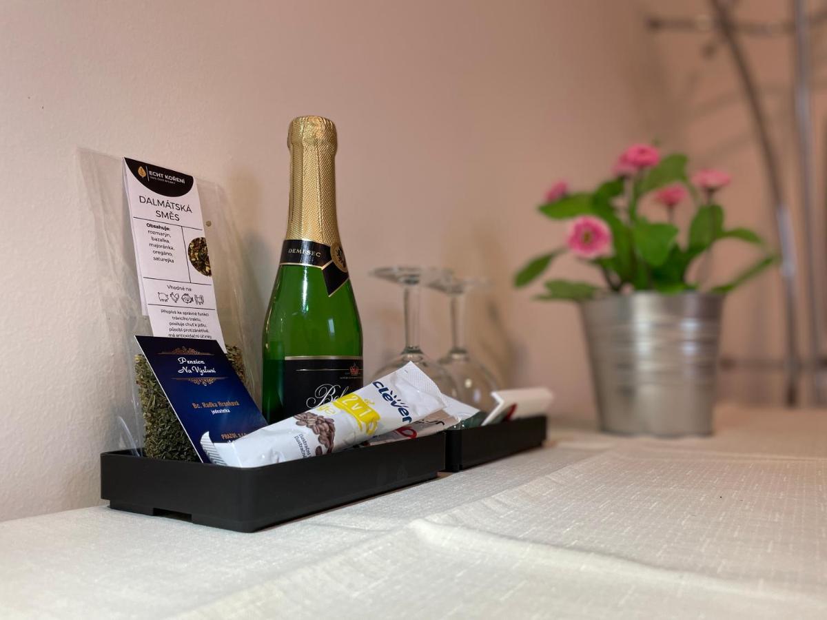 Apartment Na Vysluni Strasin