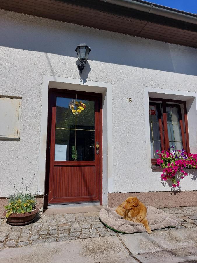 Na Vysluni Apartment *