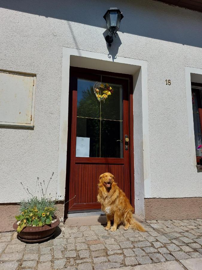 Apartament Na Vysluni Strasin